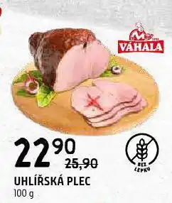 Terno Uhlířská plec nabídka