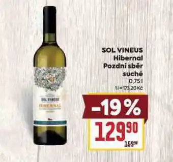 Billa Sol vineus hibernal nabídka