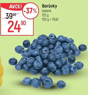 Globus Borůvky nabídka