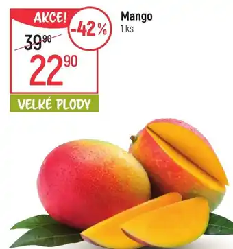 Globus Mango nabídka