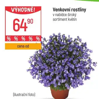 Globus Venkovní rostliny nabídka