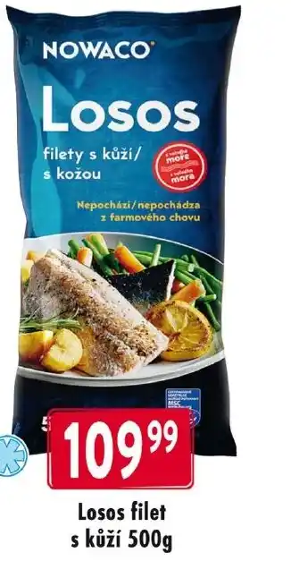Qanto Losos filet s kůží 500g nabídka