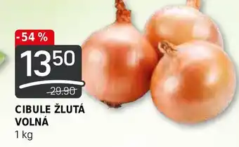 Flop CIBULE ŽLUTÁ VOLNÁ nabídka