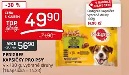 Flop PEDIGREE KAPSIČKY PRO PSY nabídka