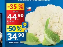 Lidl Květák nabídka