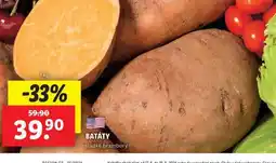 Lidl Batáty nabídka