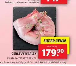 Lidl Čerstvý králík nabídka