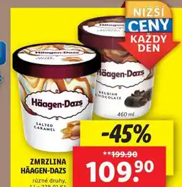 Lidl Häagen dazs zmrzlina nabídka
