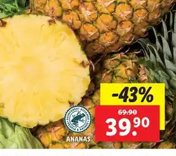 Lidl Ananas nabídka