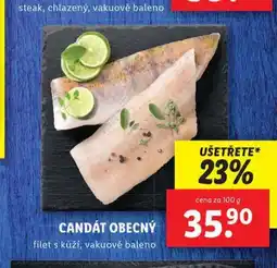 Lidl Candát obecný nabídka