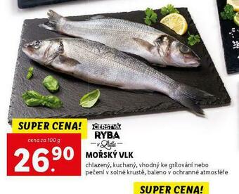 Lidl Mořský vlk nabídka