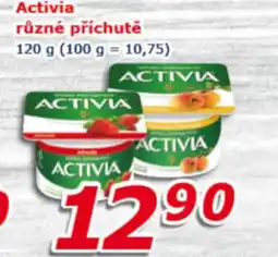 ESO MARKET Activia různé příchutě nabídka