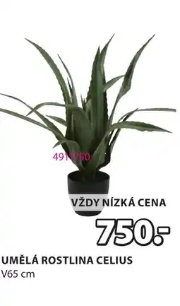 JYSK UMĚLÁ ROSTLINA CELIUS nabídka