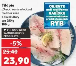 Kaufland Tilápie nabídka