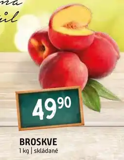 Terno BROSKVE nabídka