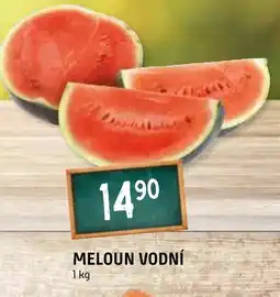 Terno MELOUN VODNÍ nabídka
