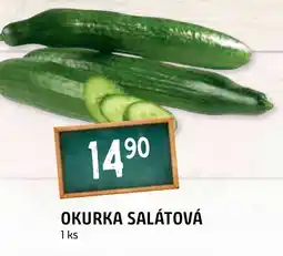 Terno OKURKA SALÁTOVÁ nabídka