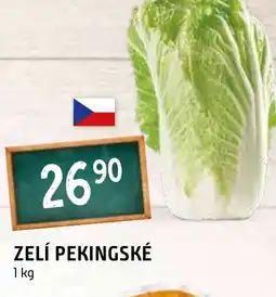 Terno ZELÍ PEKINGSKÉ 1 kg nabídka