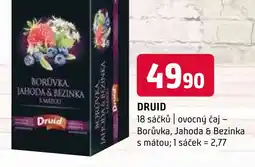 Terno DRUID nabídka