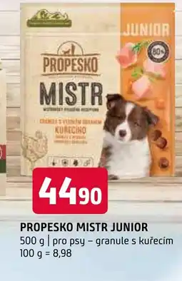 Terno PROPESKO MISTR JUNIOR nabídka