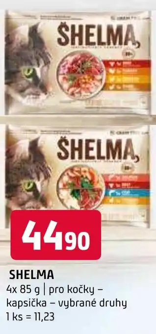 Terno SHELMA nabídka