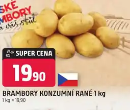 Trefa BRAMBORY KONZUMNÍ RANÉ 1 kg nabídka