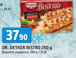 Trefa DR. OETKER BISTRO 250 g nabídka