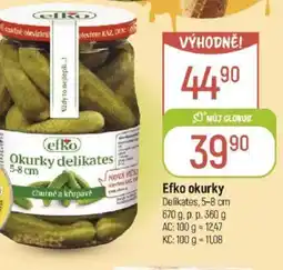 Globus Efko okurky nabídka