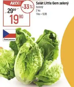 Globus Salát Little Gem zelený nabídka
