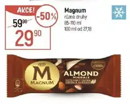 Globus Magnum nabídka