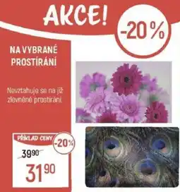 Globus NA VYBRANÉ PROSTÍRÁNÍ nabídka