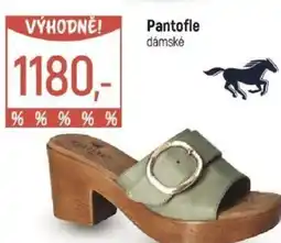 Globus Pantofle dámské nabídka
