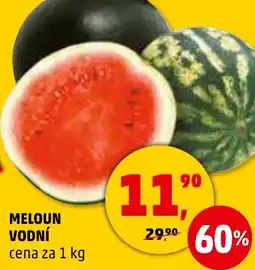 Penny Market MELOUN VODNÍ nabídka