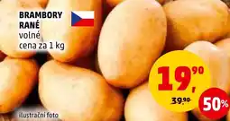 Penny Market BRAMBORY RANÉ nabídka