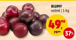 Penny Market BLUMY nabídka