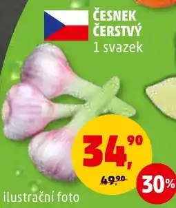 Penny Market ČESNEK ČERSTVÝ nabídka