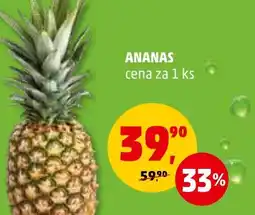 Penny Market ANANAS nabídka