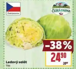 Billa Ledový salát nabídka