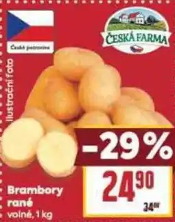 Brambory rané