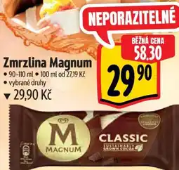 Albert Zmrzlina Magnum nabídka