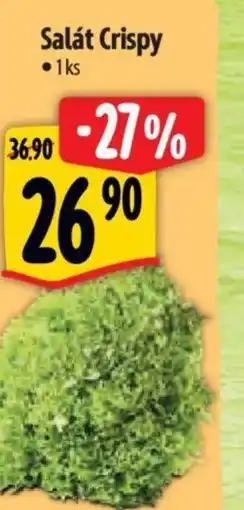 Albert Salát Crispy nabídka