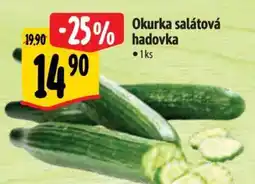 Albert Okurka salátová hadovka nabídka