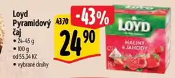 Loyd Pyramidový caj