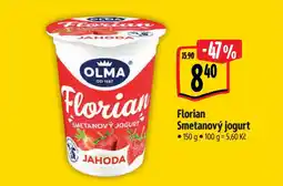 Albert Florian Smetanový jogurt nabídka