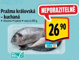 Albert Pražma královská - kuchaná nabídka