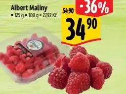 Albert Albert Maliny nabídka
