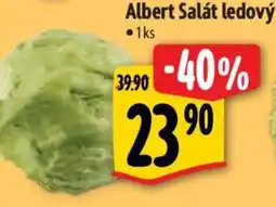 Albert Albert Salát ledový nabídka