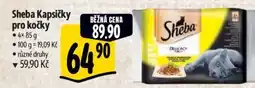 Albert Sheba Kapsičky pro kočky nabídka