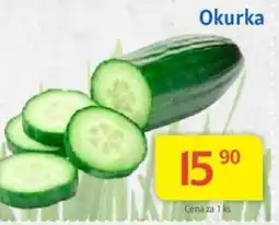 Kubík potraviny Okurka nabídka
