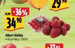 Albert Maliny nabídka